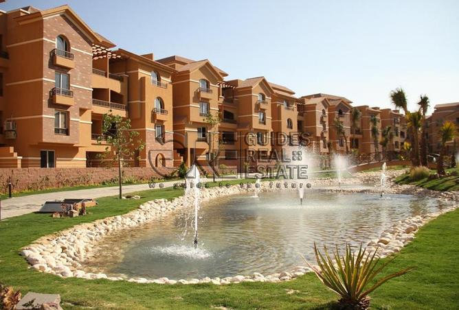7914698 - Property Image 3