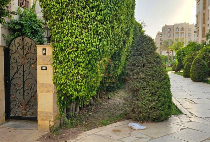 7926605 - صورة العقار 2