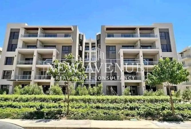 8193024 - Property Image 3