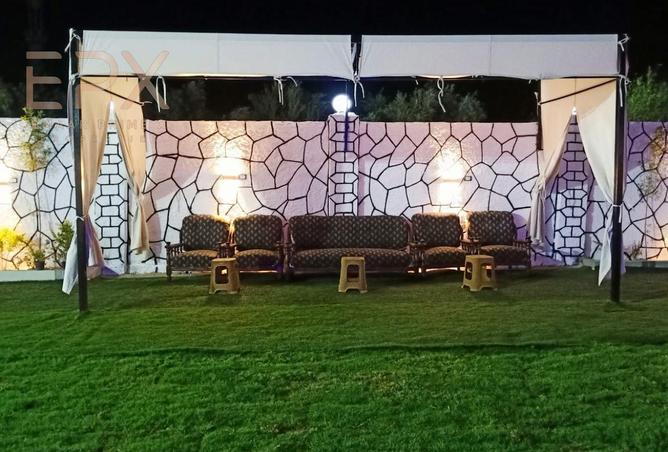 8234664 - صورة العقار 3