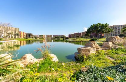 Chalet - 2 Bedrooms - 2 Bathrooms for sale in Golf Porto Marina - Al Alamein - North Coast