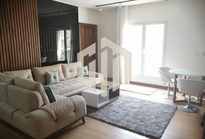 8233174 - Property Image 2