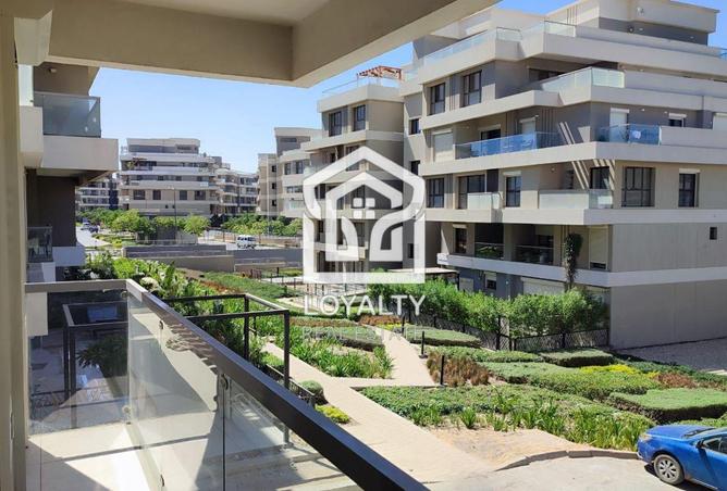 8125662 - Property Image 3