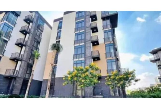 8477325 - Property Image 3