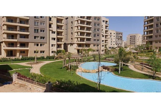 7986970 - Property Image 3
