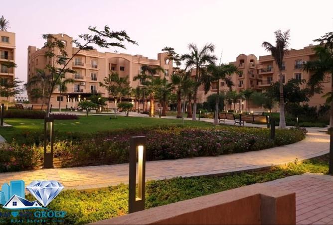 8088459 - Property Image 3