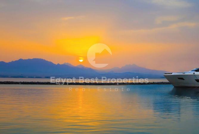 7964893 - صورة العقار 2