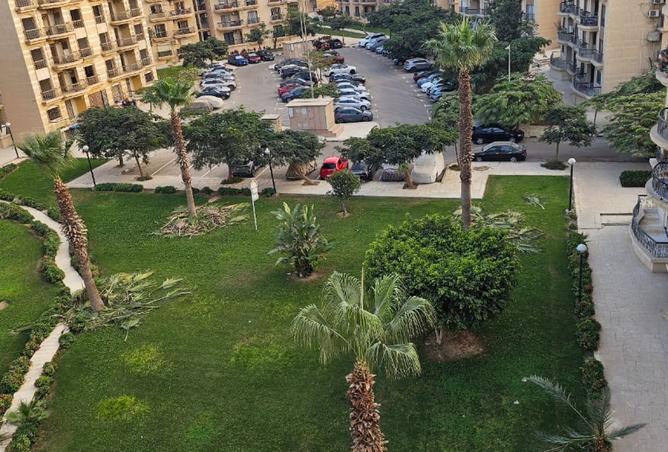 8079686 - Property Image 3