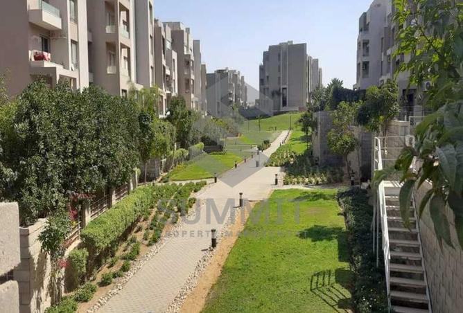 8036815 - صورة العقار 3