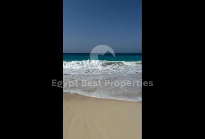 7896417 - Property Image 3