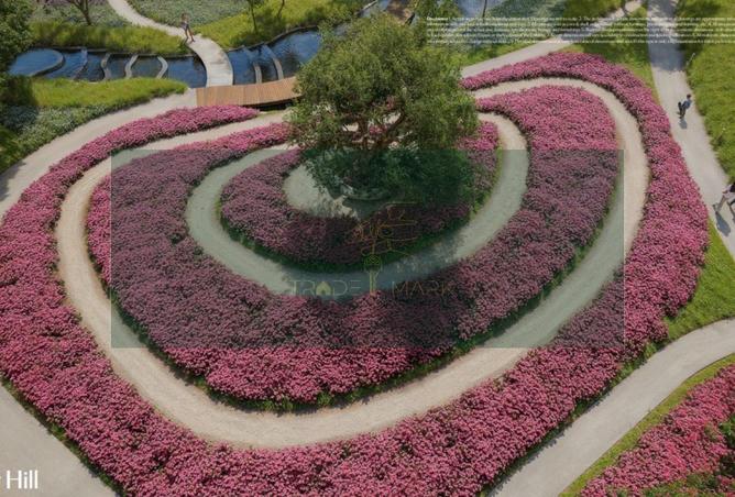 8563396 - Property Image 3