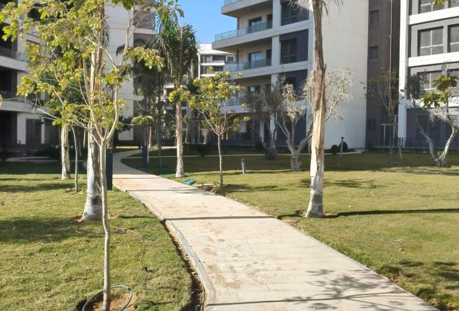 8516923 - صورة العقار 2