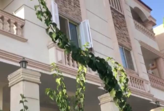 8257831 - Property Image 3