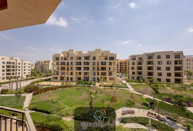7903202 - Property Image 3