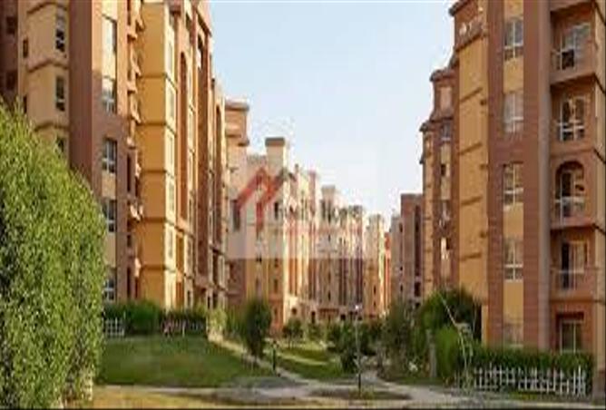 7986240 - صورة العقار 3