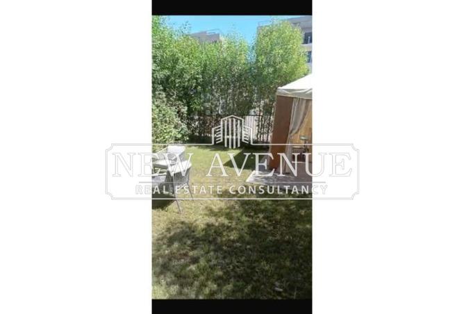 8347411 - Property Image 3