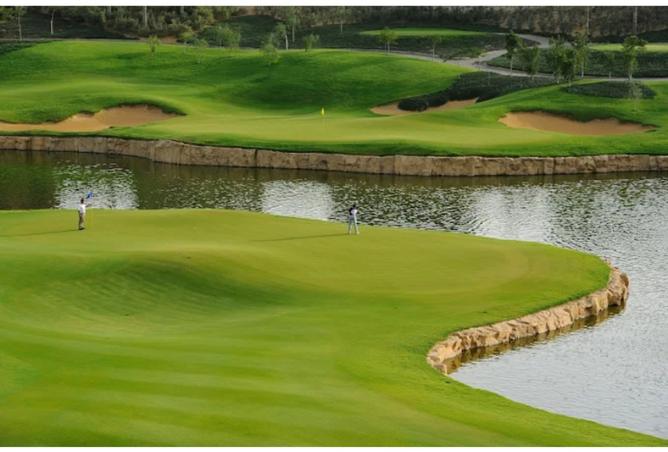 8359213 - Property Image 2