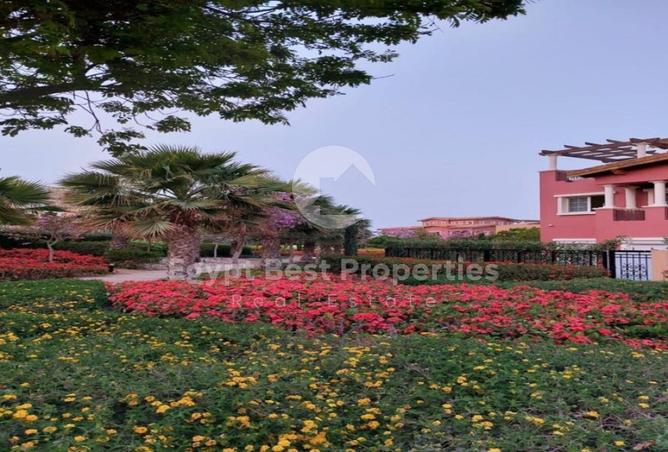 8150862 - صورة العقار 3