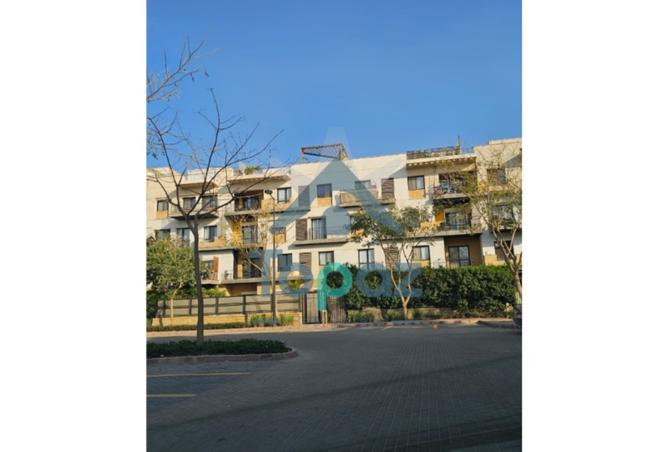 8491642 - Property Image 2