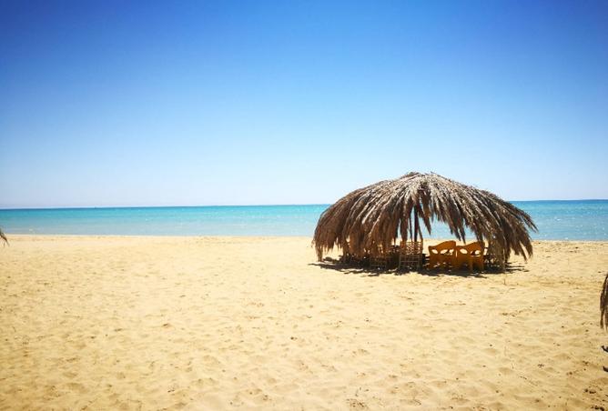 8166180 - Property Image 3