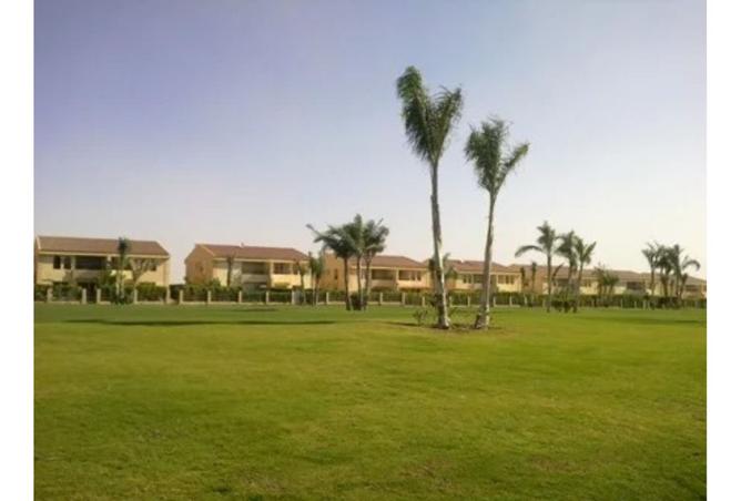 8156551 - صورة العقار 3