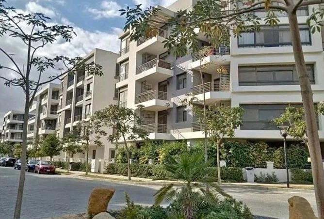 8252459 - Property Image 2