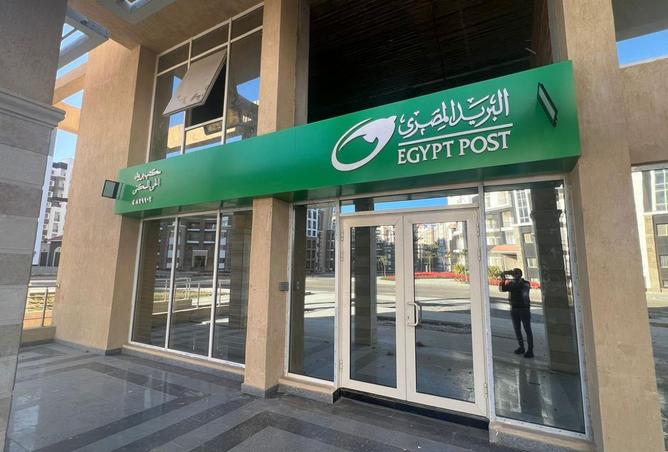 8331393 - Property Image 3