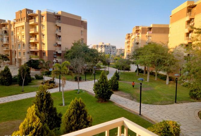 7960426 - صورة العقار 2