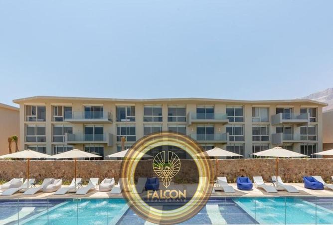 8437383 - Property Image 3