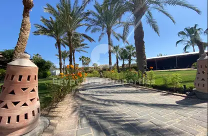 شاليه - 2 غرف نوم - 3 حمامات للبيع في ميسكا - سوما باى - سفاجا - الغردقة - محافظة البحر الاحمر