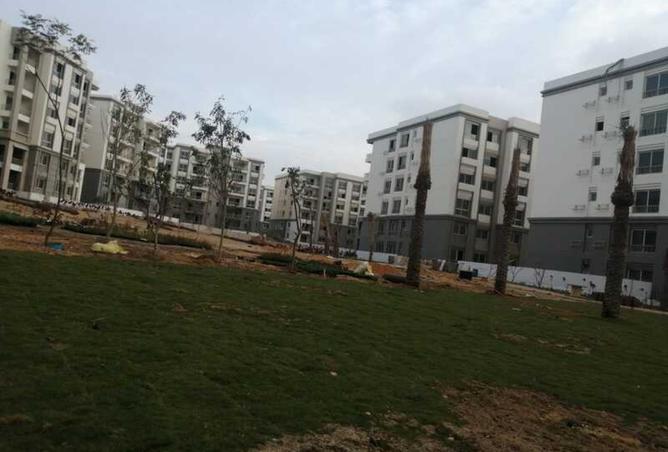 7897473 - صورة العقار 3