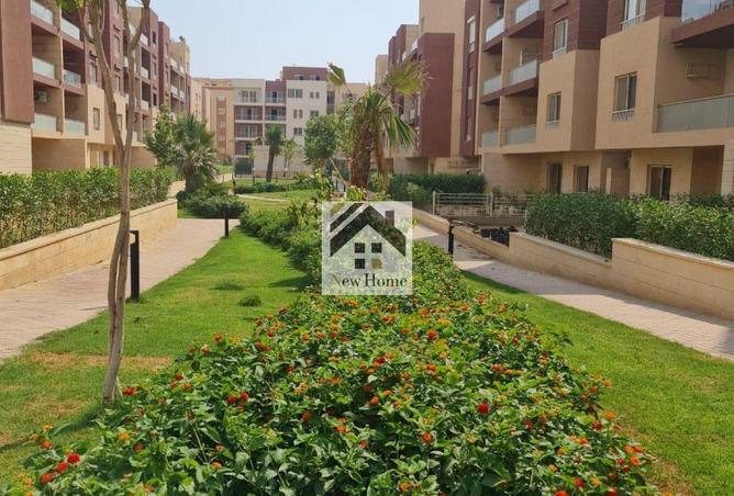 8117575 - Property Image 2