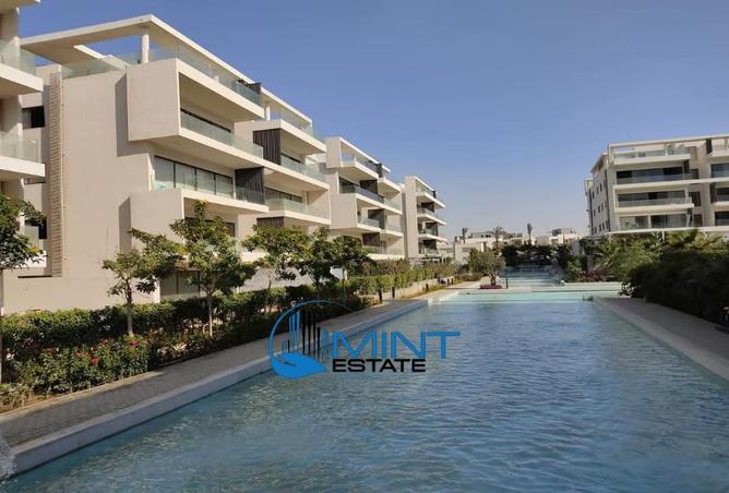 7913326 - Property Image 3