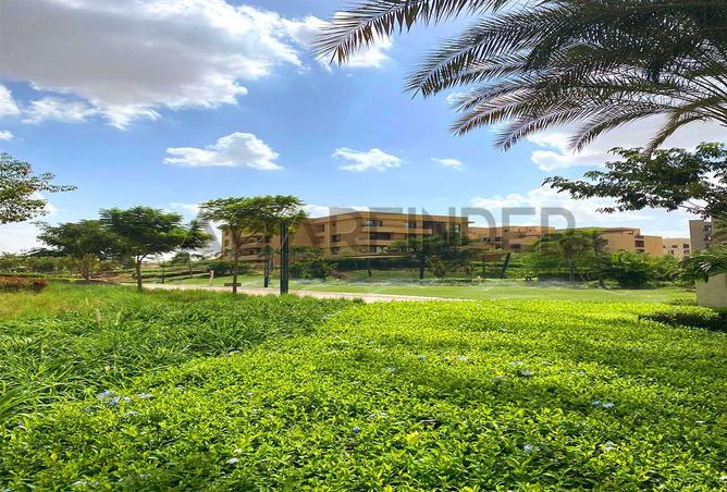 8338721 - Property Image 3