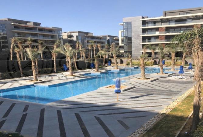 8492446 - Property Image 3