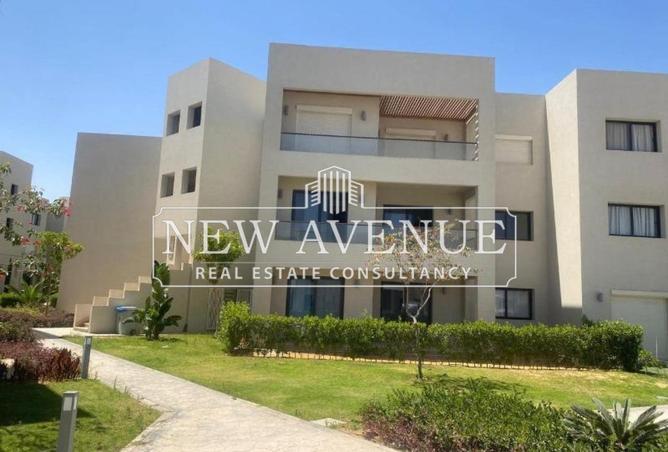 8193801 - صورة العقار 3