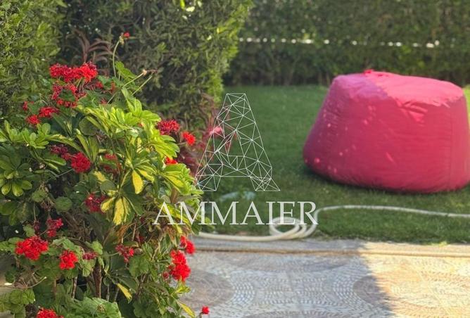 8203510 - الصورة الرئيسية للعقار