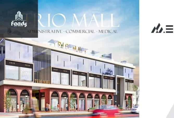 8390305 - Property Image 2