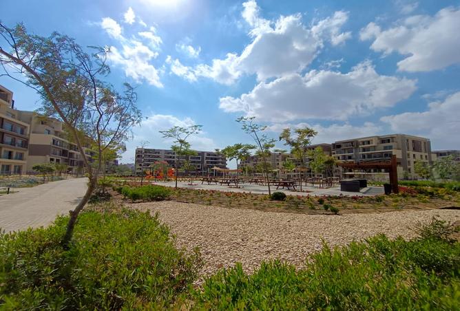 7974418 - Property Image 2