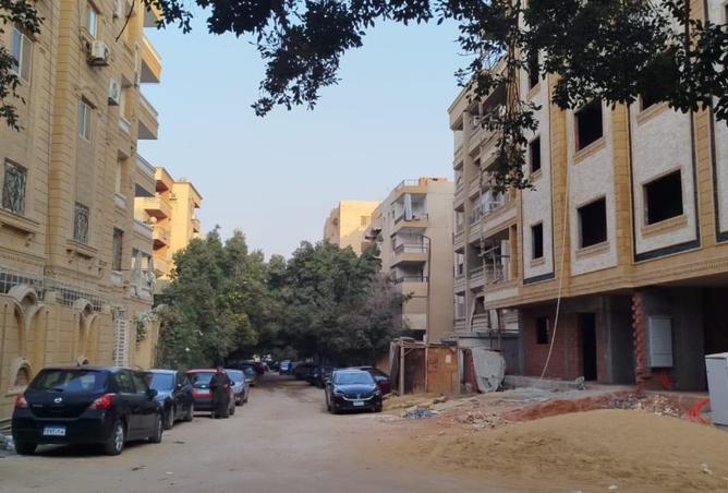 8237823 - صورة العقار 3