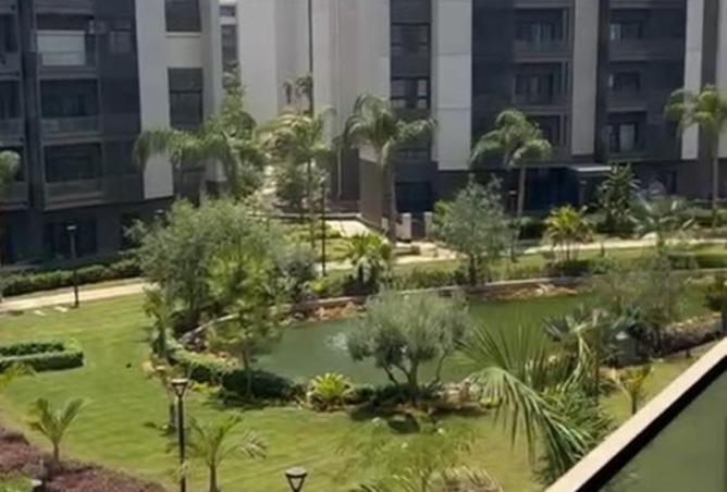 8176525 - Property Image 3