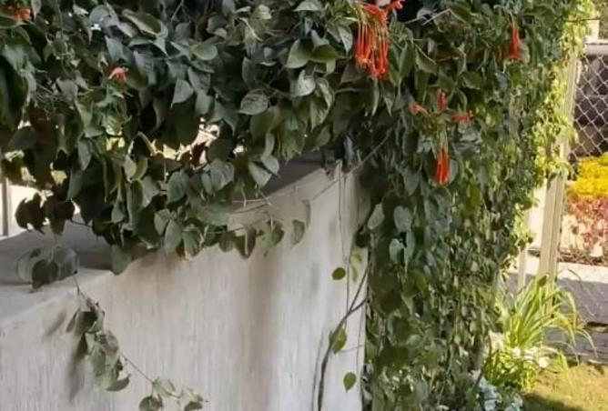 8010837 - صورة العقار 3