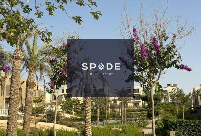 7937623 - صورة العقار 3