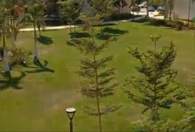 8352414 - صورة العقار 3