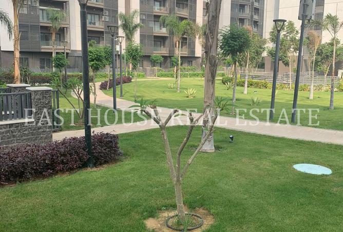 8173695 - الصورة الرئيسية للعقار