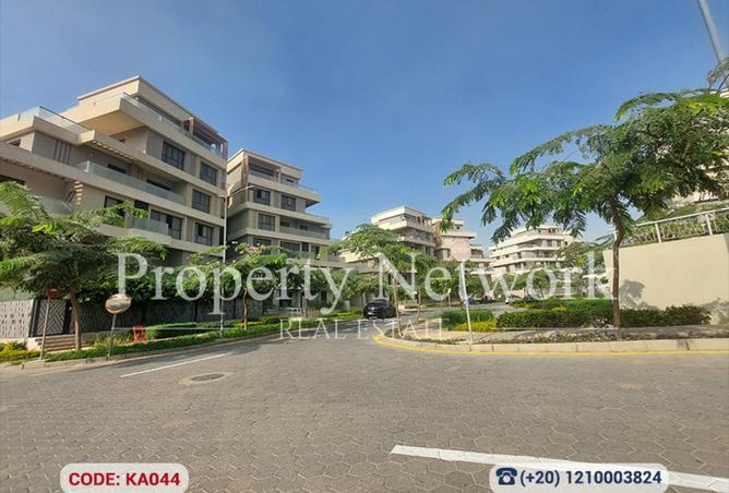 8303322 - Property Image 2