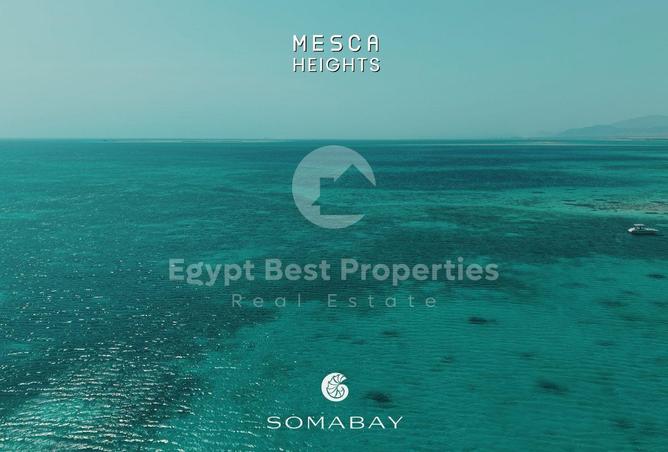 8295463 - صورة العقار 2