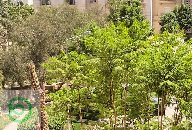 8403654 - صورة العقار 2