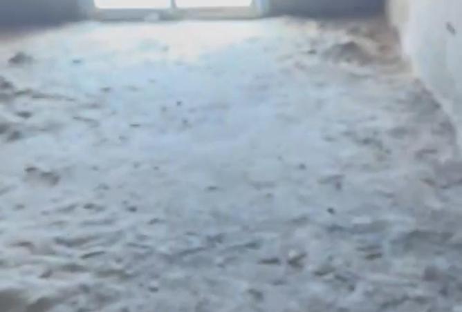 8317743 - Property Image 3