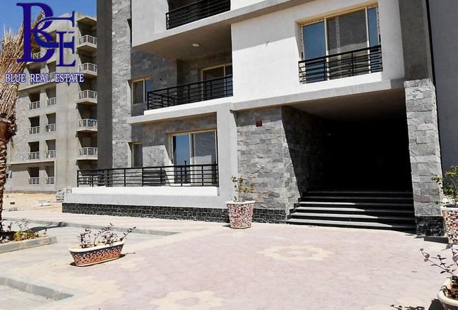 8124784 - Property Image 3